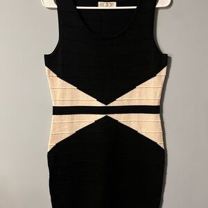 Pink Rose Black and Cream Mini Dress